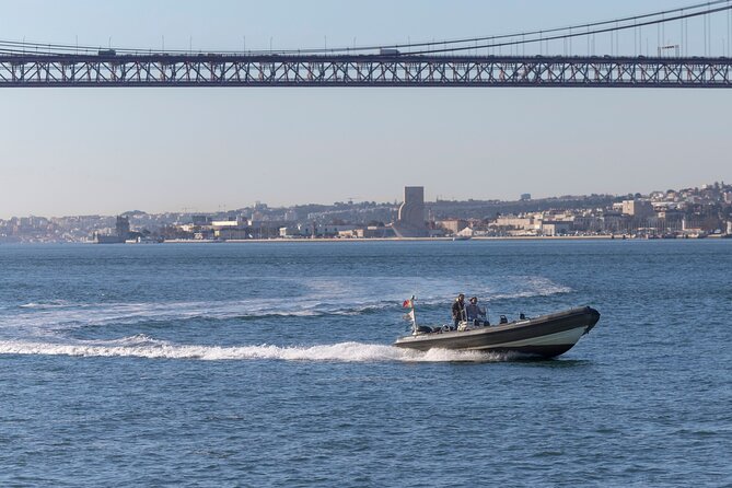 Lisbon: Dolphin Watching with a Marine Biologist - Ocean Safari - Should You Book This Dolphin Watching Trip?