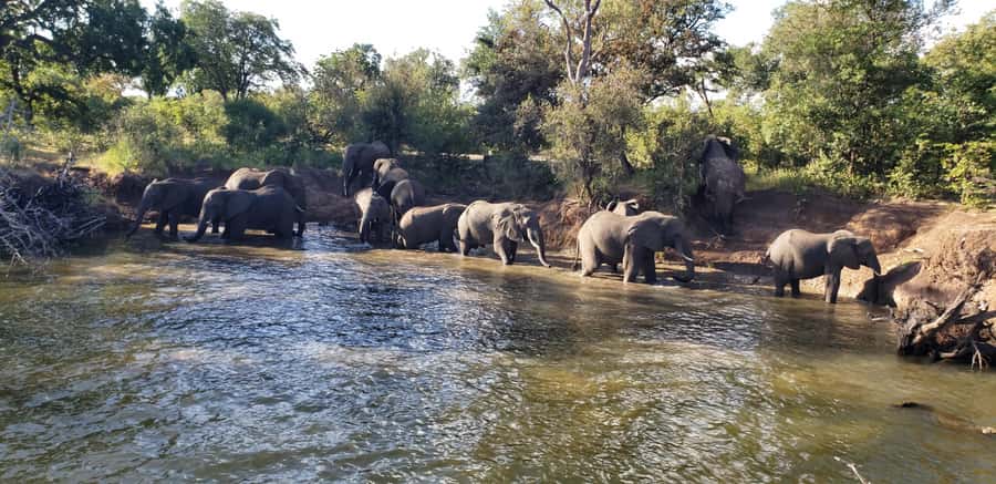 LIVINGSTONE ZAMBIA:SAFARI GAME DRIVE & RHINO WALK - Why Mosi-oa-Tunya Works So Well From Livingstone