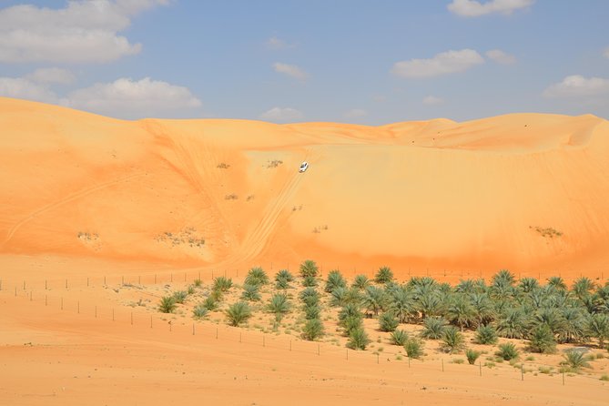 Liwa Full Day Desert Safari (exploring) - Key things that make this Liwa safari worth your day