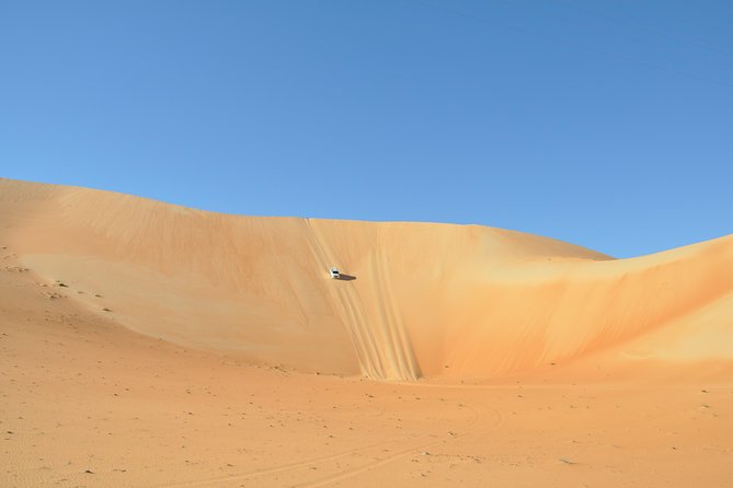 Liwa Full Day Desert Safari (exploring) - Fort visit: the cultural stop that actually helps the dunes make sense