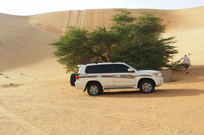Liwa Full Day Desert Safari from Abu Dhabi - Key Points I’d Plan Around