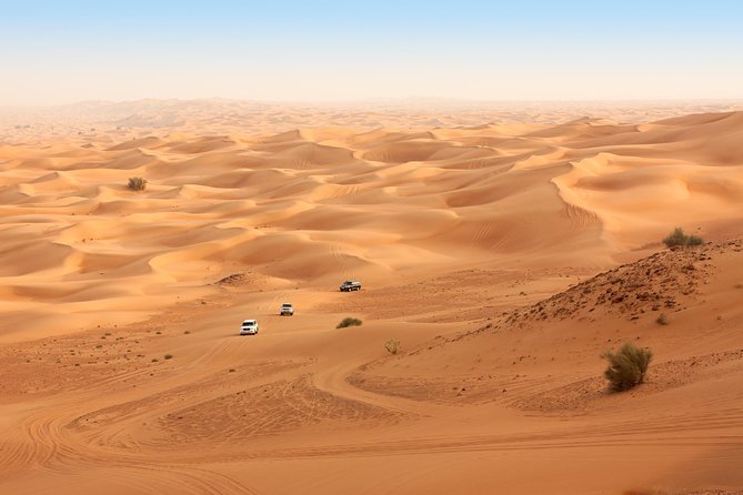 Liwa Full Day Desert Safari from Abu Dhabi - Why Liwa Works Better Than a Quick Desert Stop