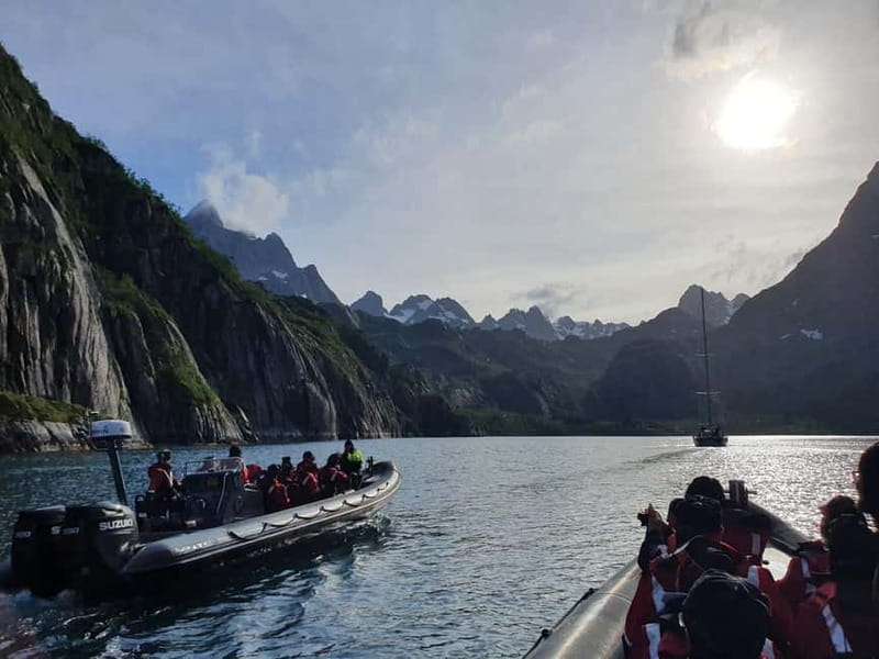 Lofoten: Trollfjord Sea Eagle Safari by RIB Boat - Trollfjord Sea Eagle Safari by RIB: what you’re really buying