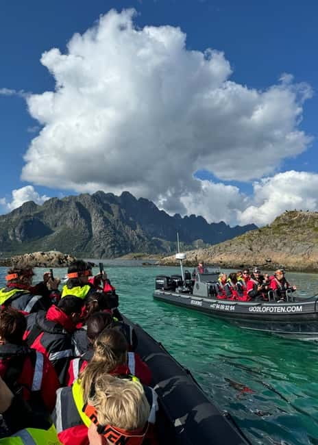 Lofoten: Trollfjord Sea Eagle Safari by RIB Boat - Who should book, and who should skip this ride