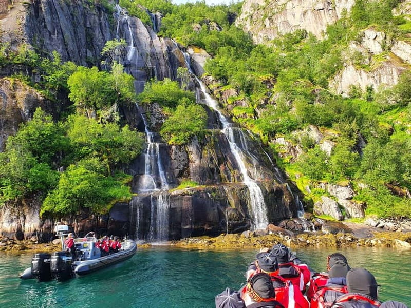 Lofoten: Trollfjord Sea Eagle Safari by RIB Boat - Meet at Sjømannsgata 5 and plan your arrival like a local