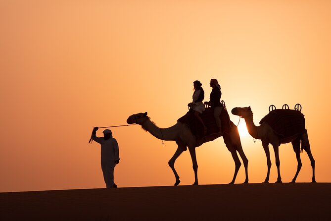 Luxury Desert Safari with Michelin-Curated Fine Dining Experience - Falconry at sunset: why this show matters
