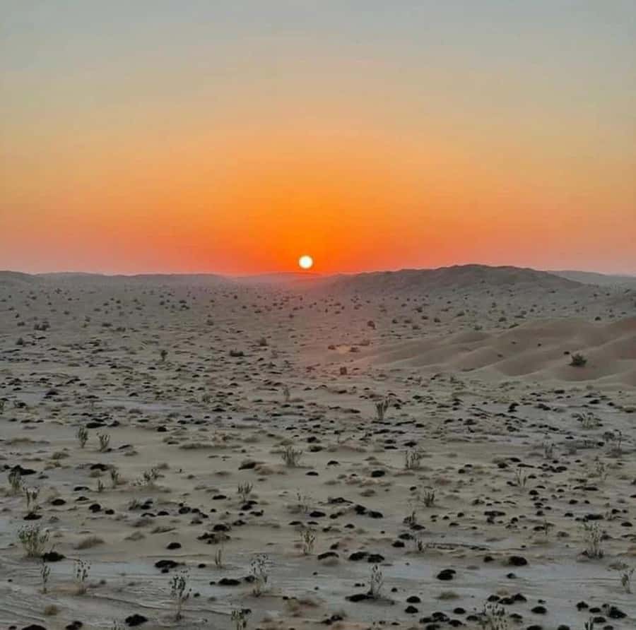 Luxury Overnight Desert Safari in Salalah - The main event: 3–4 dune bashing rides with pros