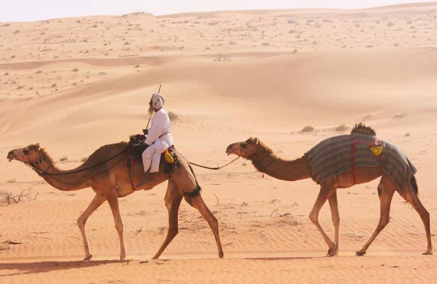 Luxury Overnight Desert Safari in Salalah - Sunset in the Empty Quarter: coffee, tea, dates, and that orange sky
