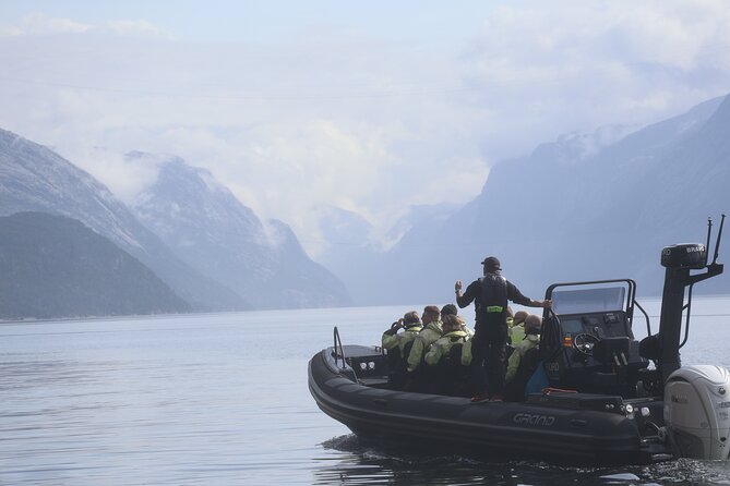 Lysefjord RIB Safari from Stavanger - Key highlights you’ll feel right away
