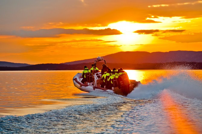 Lysefjord RIB Safari from Stavanger - What to wear: dry suit, goggles, and the smart layering mindset