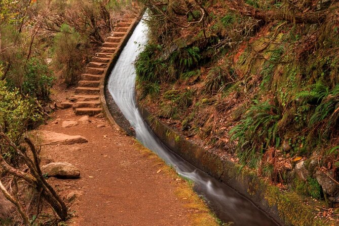 Madeira 4x4 Jeep Safari : Porto Moniz, Lava Pools & Fanal Forest - Pickup at 9:00, Then the Day Flows (7–8 Hours)