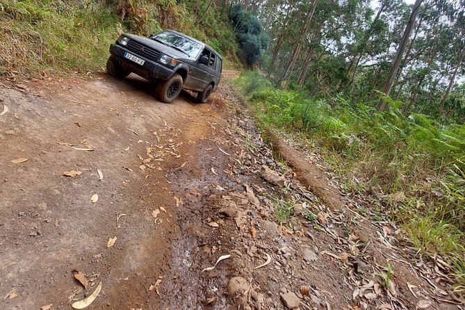 Madeira 4x4 Jeep Safari : Porto Moniz, Lava Pools & Fanal Forest - Paul da Serra Plateau: 1,500 Meters and a Big-View Pause