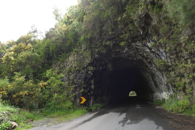 Madeira 4x4 Jeep Safari : Porto Moniz, Lava Pools & Fanal Forest - Fanal Forest: Quiet Footing Between the Mountains