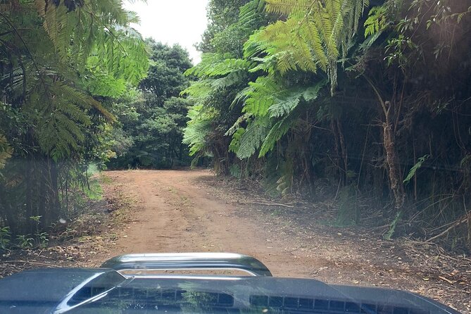 Madeira 4x4 Jeep Tour : Pico Arieiro & Santana Traditional Houses - Ribeiro Frio coffee stop: a needed breather