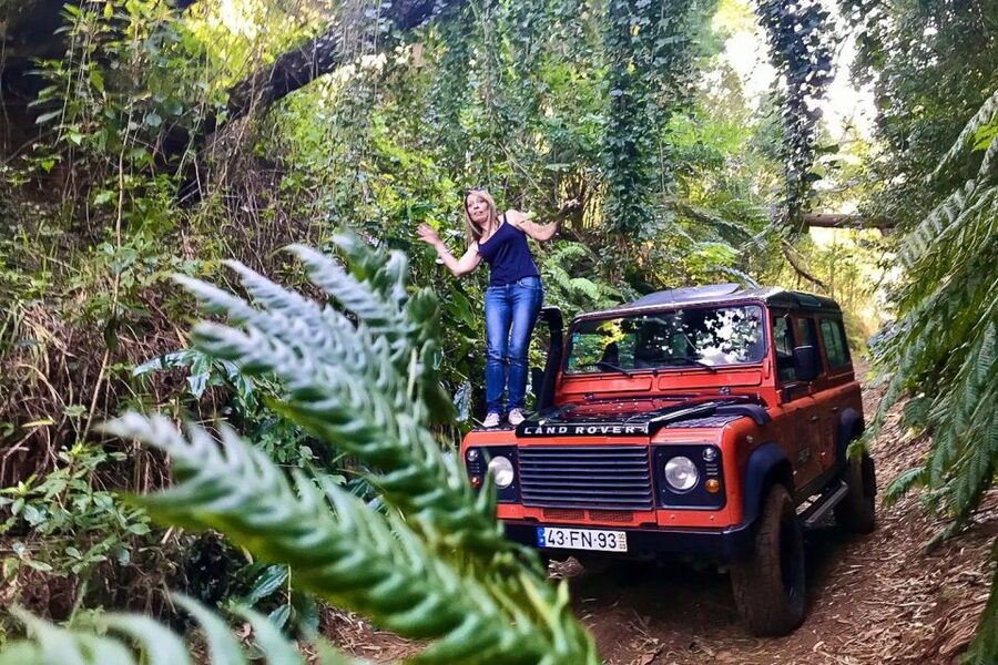 Madeira: West Side Jeep Tour with Natural Pools - Fanal Forest: Why This Walking Stop Has a Different Mood
