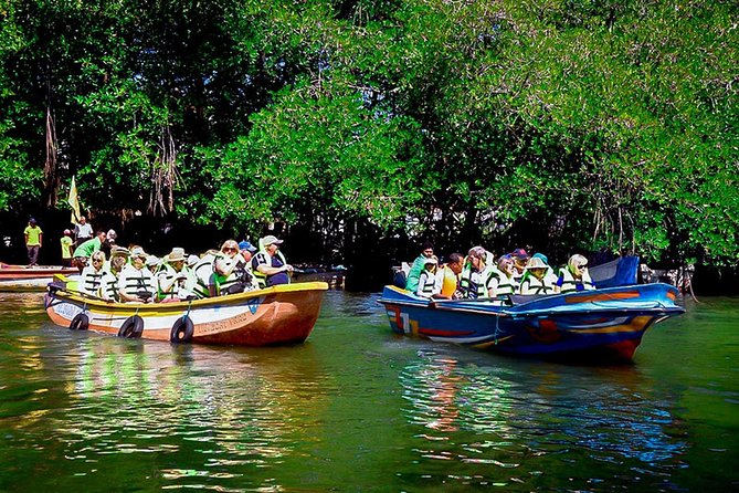 Madu River Boat Safari Balapitiya - The 2-hour shared boat safari (with a real skipper)