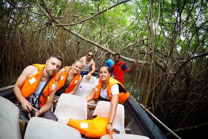 Madu River Boat Safari Balapitiya - Island monastery stop: culture without turning it into a lecture