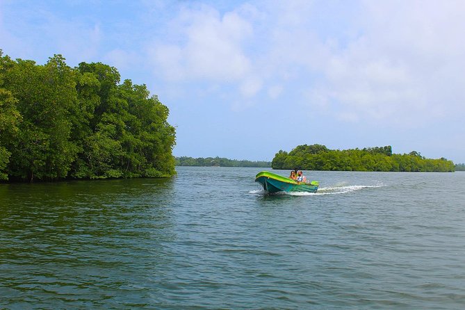 Madu River Boat Safari Balapitiya - Value and price: is $29 a good deal for a Madu River safari?
