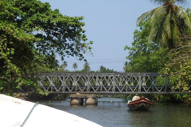 Madu River Boat Safari Balapitiya - Who this boat safari suits best
