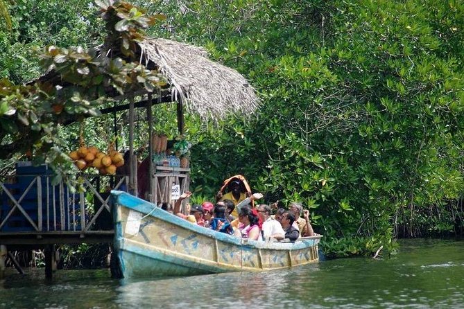 Madu River Boat Safari Balapitiya - Wildlife spotting: what to watch for along the mangroves