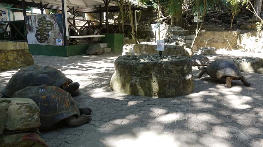 Mahe: St.Anne Marine National Park Reef Safari with Lunch - Key highlights
