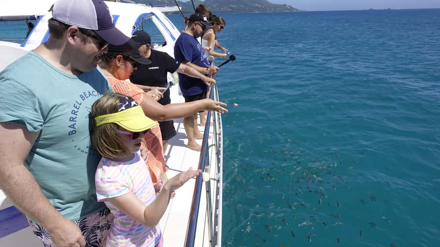 Mahe: St.Anne Marine National Park Reef Safari with Lunch - Semi-Submersible Viewing and Fish Feeding at St. Anne