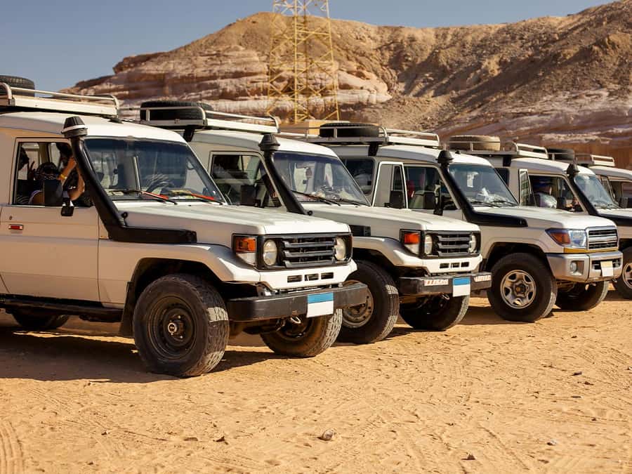 Makadi Bay: Jeep Safari Adventure with Bedouin guide - Dinner Buffet and the Show Finale: Belly Dancing, Arabian Music, Snake Show