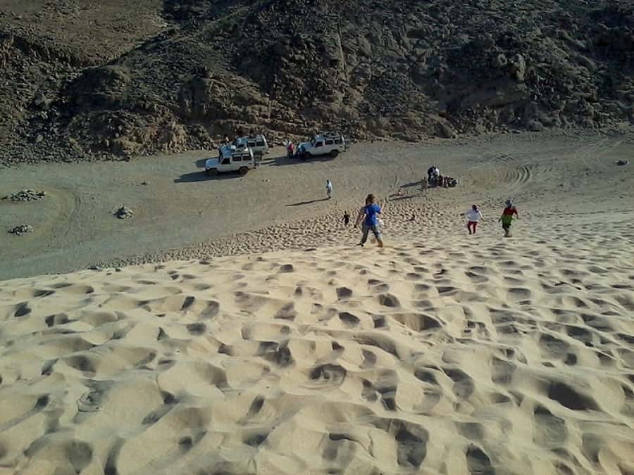 Makadi Bay: Jeep Safari Adventure with Bedouin guide - Who Should Book This Safari—and Who Should Skip It