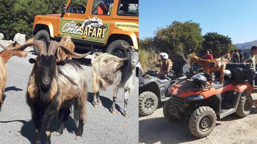 Malia: Off-Road Quad Safari Tour with Lunch and Transfers - Quick hits: what makes this quad day special