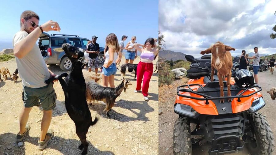 Malia: Off-Road Quad Safari Tour with Lunch and Transfers - Vrachasi: photo stops, guided village time, and free coffee
