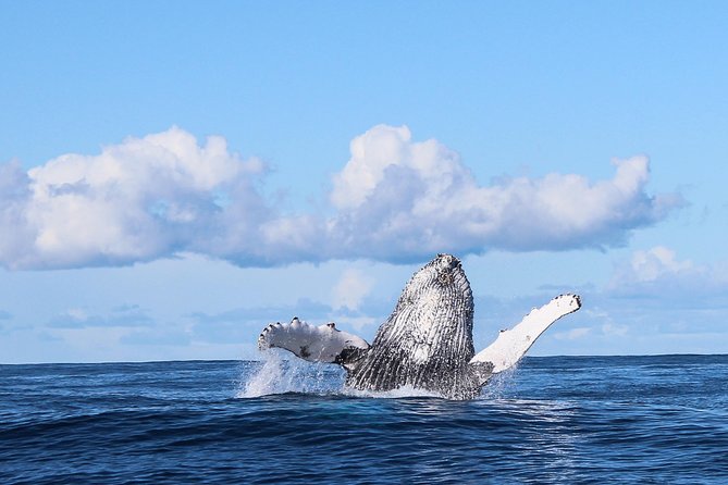 Marine Big 5 Safari: Self-Drive - The Great White House meeting spot in Van Dyks Bay