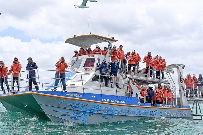 Marine Big 5 Safari with transport from Hermanus - Getting From Hermanus to Dyer Island: Faster Than You Think