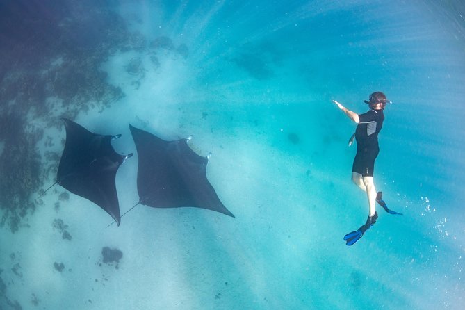 Marine Eco Safari - Swim with Manta Rays - Coral Bay start at 8:00 and the smooth logistics that keep the day moving