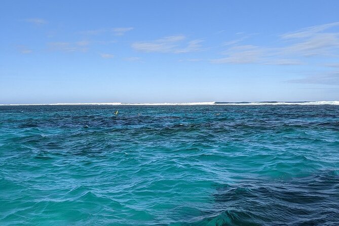 Marine Eco Safari - Swim with Manta Rays - Bateman’s Bay and the spotter plane manta-ray search