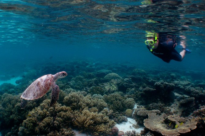 Marine Eco Safari - Swim with Manta Rays - What’s included on board: the food and drinks keep the day enjoyable
