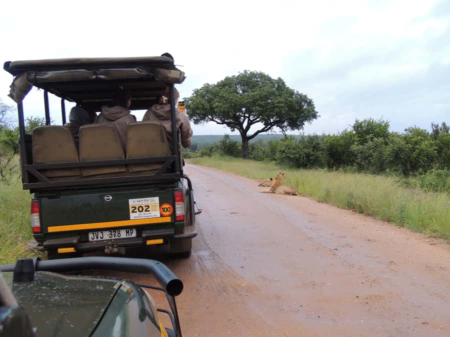 Marloth Park: Kruger National Park Safari Game Drives - Park entrance fee: the one extra cost to plan for