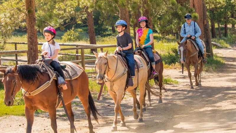 Marmaris: Horse Riding & Safari with Hotel Transfer - Key things I’d highlight before you go