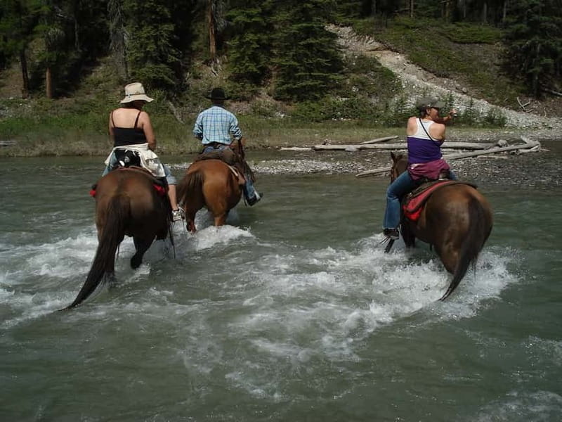 Marmaris: Horse Riding & Safari with Hotel Transfer - Getting to the ranch: Marmaris transfer that keeps things low-stress
