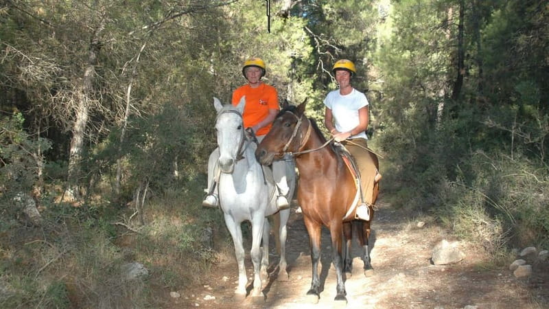 Marmaris: Horse Riding & Safari with Hotel Transfer - The ride route: pine forests, orange groves, and real village-life views