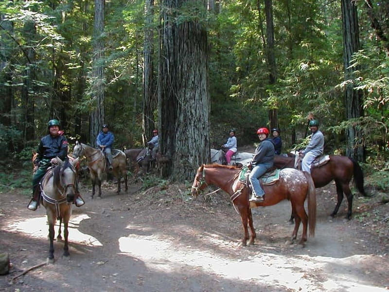 Marmaris: Horse Riding & Safari with Hotel Transfer - Price and value: where the $41 per person really lands