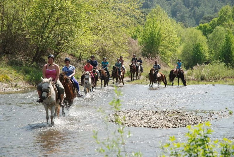 Marmaris: Horse Riding & Safari with Hotel Transfer - Meet your horse: the part that makes or breaks a first-time ride
