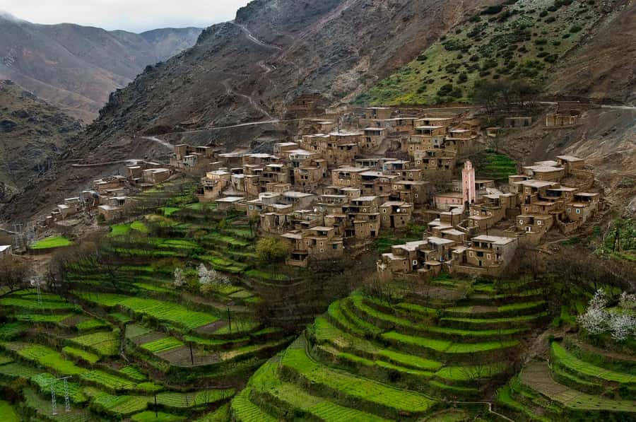 Marrakech: Atlas Mountains and Desert Safari with Lunch - Agafay Desert: 4x4 adventure, mint tea, and camel time