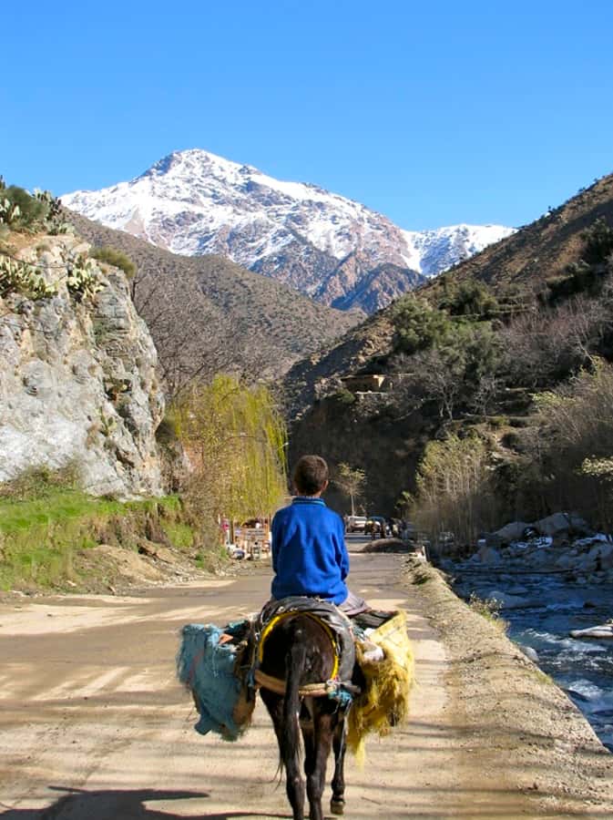 Marrakech: Atlas Mountains and Desert Safari with Lunch - Lunch in a Berber setting: lamb tagine plus the stuff that makes it real