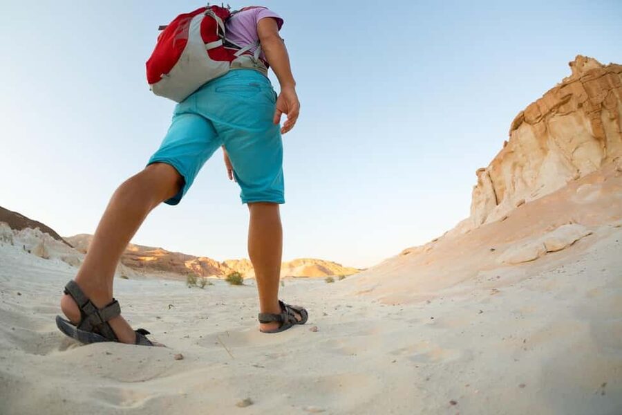 Marsa Alam Bedouin Nights: Jeep Safari, Dinner & Stargazing - Why this desert night feels more personal than a typical tour