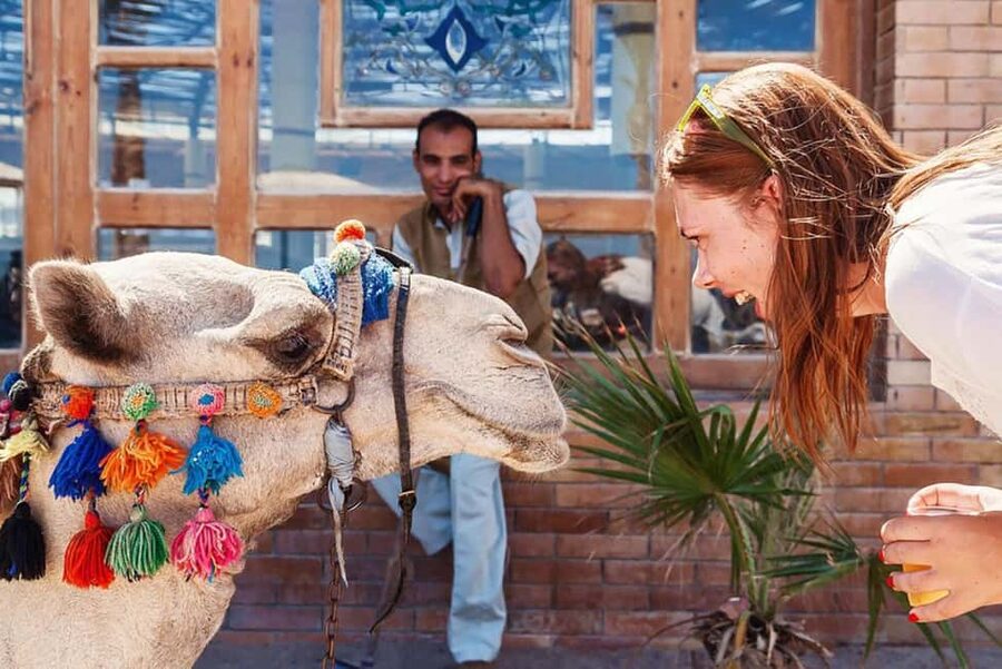 Marsa Alam Bedouin Nights: Jeep Safari, Dinner & Stargazing - Dinner under the stars: hearty food and campsite atmosphere