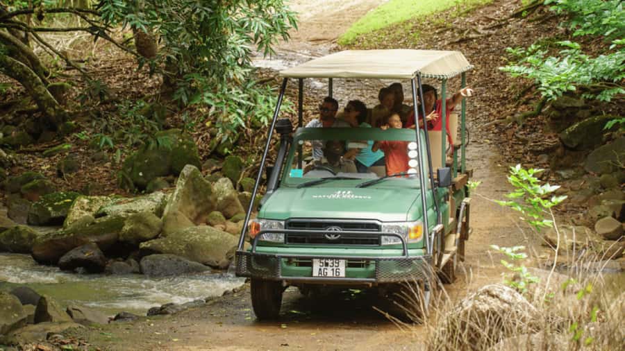 Mauritius: Bel Ombre Nature Reserve 4x4 Safari Adventure - Bel Ombre Nature Reserve: Mauritius’ off-road nature playground