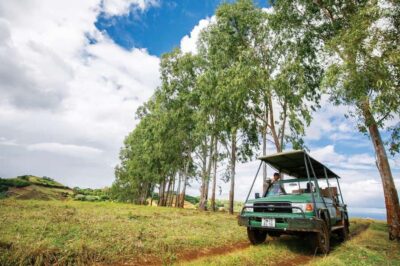 Mauritius: Bel Ombre Nature Reserve 4x4 Safari Adventure - Meeting at the Welcome Center and gearing up fast