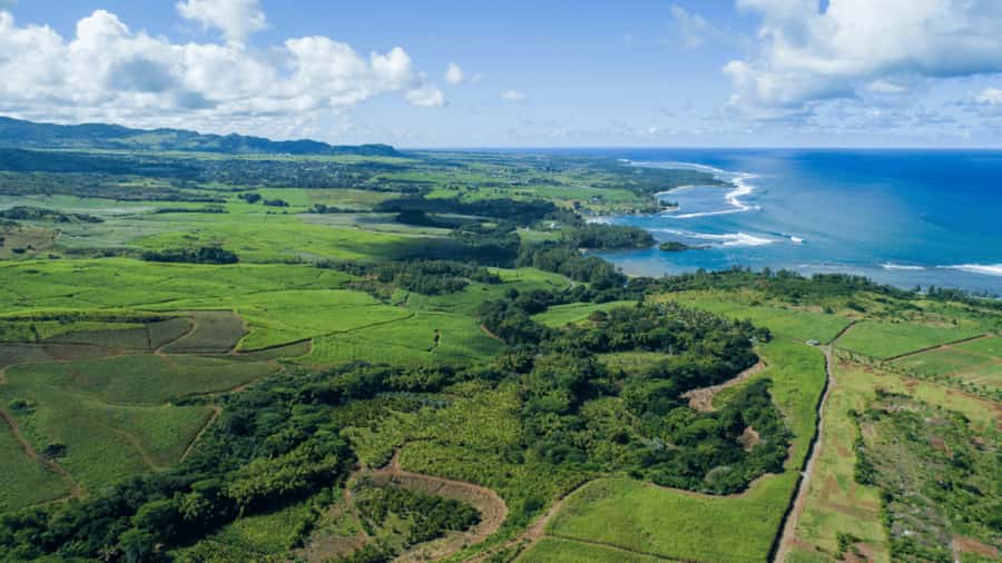 Mauritius: Bel Ombre Nature Reserve 4x4 Safari Adventure - The $40 price: good value if you want safari energy