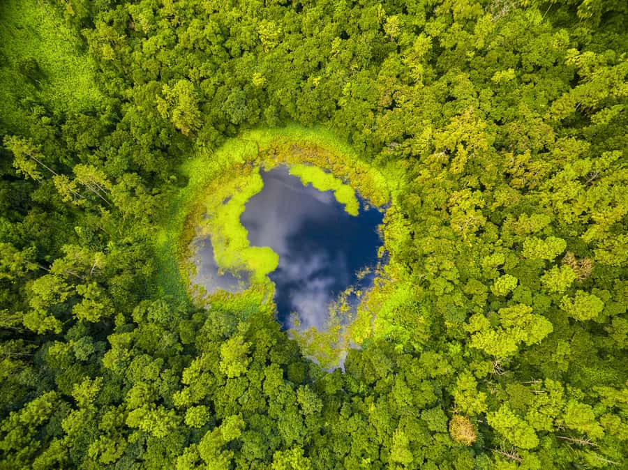 Mauritius: Guided Trip to the Southwest with Safari Tour - Private hotel pickup makes the southwest feel easy