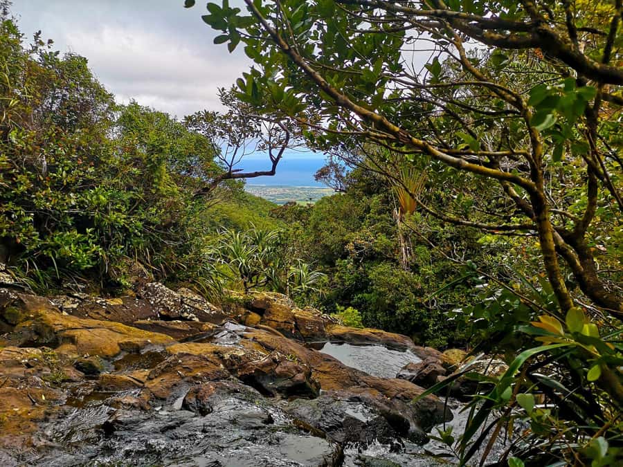 Mauritius: Guided Trip to the Southwest with Safari Tour - Gorge viewpoint and the road’s best part of the day